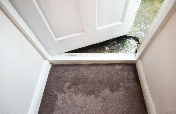 Wet Carpet Restoration in Dunedin