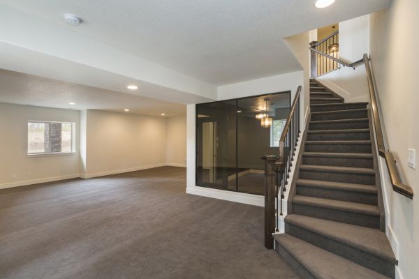Basement Restoration Service in Dunedin