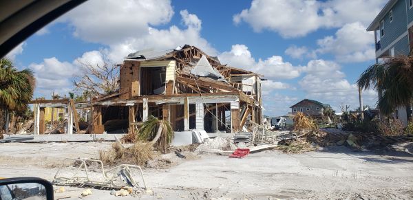 Disaster Cleanup Service in Dunedin