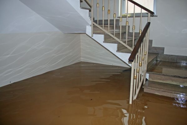 Storm Damage Restoration in Dunedin