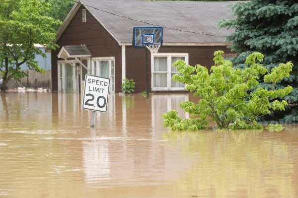 Storm Restoration Service in Dunedin