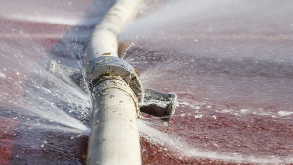Burst Pipe Cleanup in Dunedin
