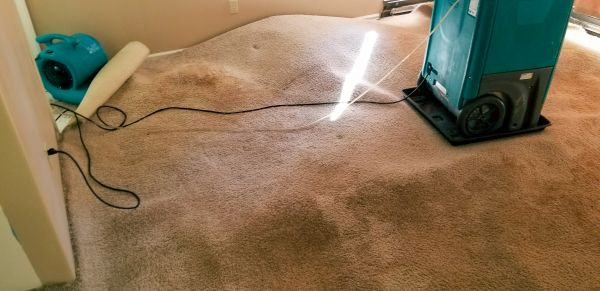 Flood Damage Cleanup in Dunedin