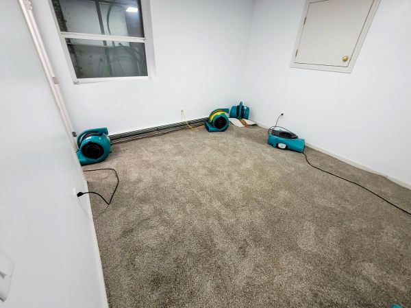 Flood Restoration Service in Dunedin