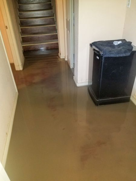 Emergency Water Removal in Dunedin