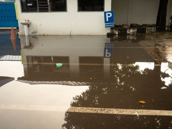 Storm Damage Repair in Dunedin