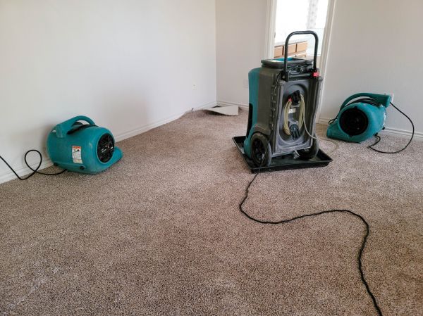Water Damage Repair in Dunedin