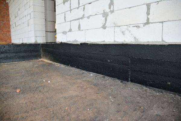 Basement Water Damage Service in Dunedin