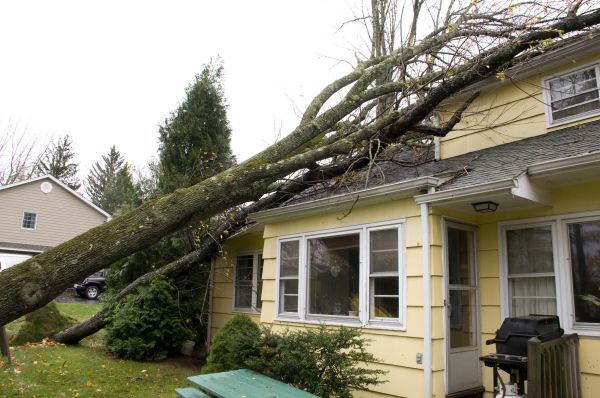 Hurricane Damage Repair in Dunedin