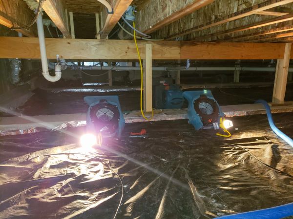 Crawlspace Water Removal in Dunedin