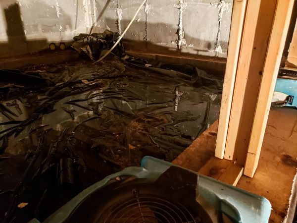 Crawlspace Water Cleanup in Dunedin